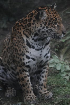 Si calme_4299223984_l.jpg